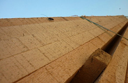 � ������� � �������������� ���� ����������� ����� ����������