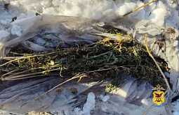 � ������� ���������� ������ ����� ���� ����������� ����������