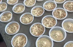 � ������� ��������� ����� �� ���������� ������