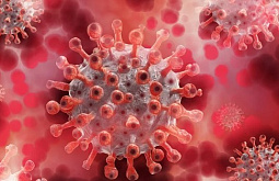 ���������� ������� ��� 160 ��� ������ �� ������ � COVID-19