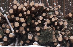 �� ������� � ����� ���� �� ��������� ��������� ������������