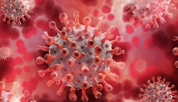 ���������� ������� ��� 160 ��� ������ �� ������ � COVID-19