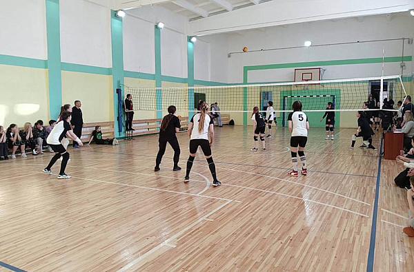 В районах Улан-Удэ определили чемпионов по волейболу