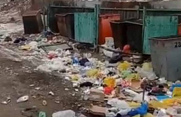 Коровы довольны: Райцентр в Бурятии снова завалило мусором
