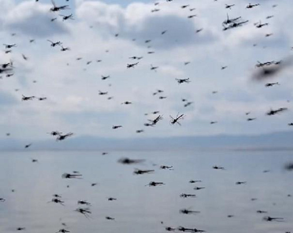 ������� ����� � ������� ��������� ������� �������� ���������