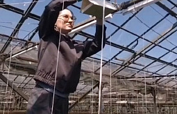 � ������� ������ ����������� ���������� ������� 