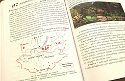 � �������� ����������� ����� ������� �������� �� ��������������