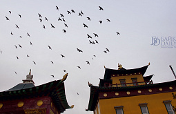 � ����-��� �������� �������������� ������� �����