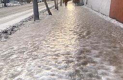 ���������������� ����-������ �������� 270 ����� �� ������ �������