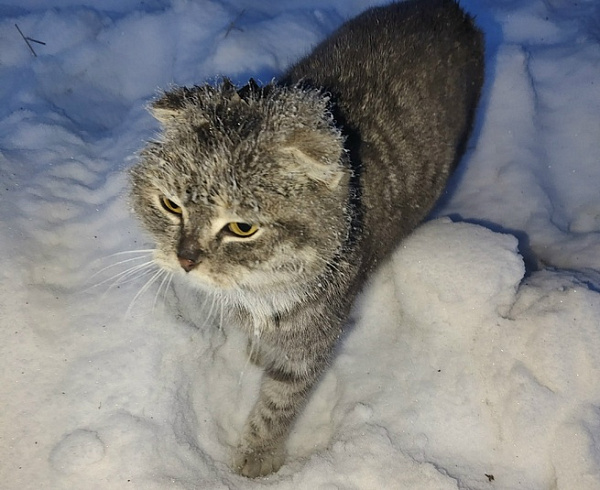 � ����-��� ������ ������ ������ ������� ��������� �����