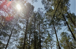 � ������� ��������� ������� ���� � ���� ��������� ����