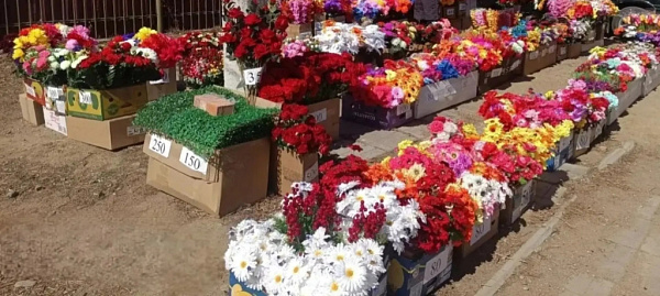 � ����-��� ���������� ������ ����� ���������� ��������