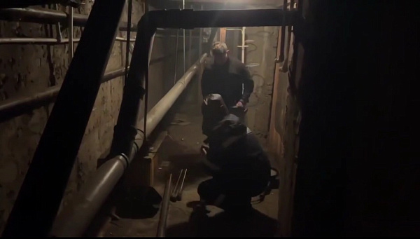 � ������� ���������� ���������� ����� � �������� ����