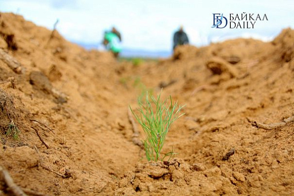 � ������� ������� �������� ���������� 100 ������� �����