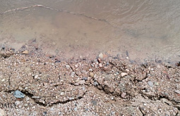 ������ ������� ������� ����� � ������ ��� ��������