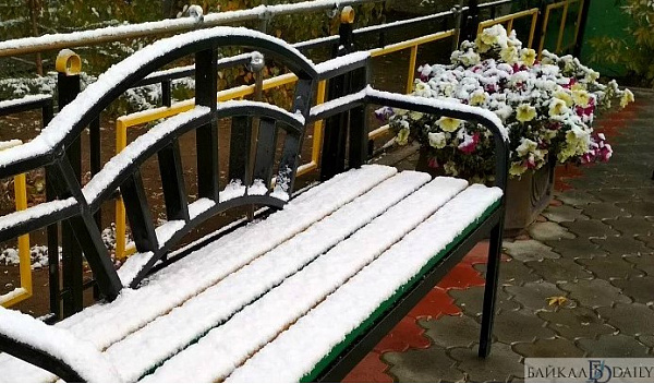 � ������� ������������ ������ ���� 