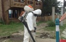 � ������ ������������ ����������� ������