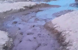 ������ ������� �������� ���������� ����������� �� ������� �����