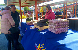 ��������� ������� ����������� ��������� �� ������� 