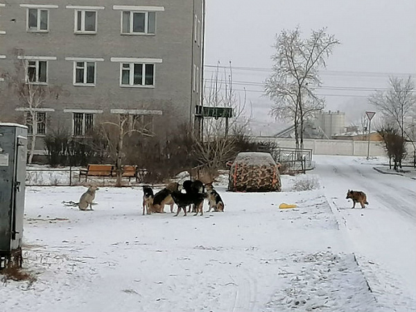 ��������� ������������: ��� ���� � �����!�