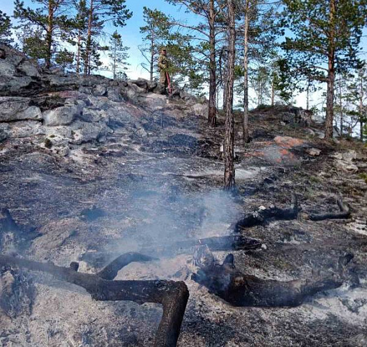 ������� �������� ������ ����� �� ���� �����-���� �� ������� 