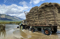 � ������� ����������� ������� �� �������� ������