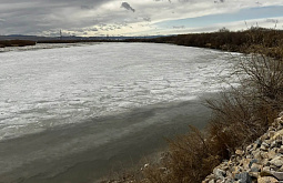 � ����-��� ������������ ���� ����� �������� ��������