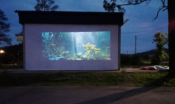 � ����-��� �������� ��������� ��� �������� �����