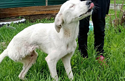 � ���������� ��������� ������ �������������� ������