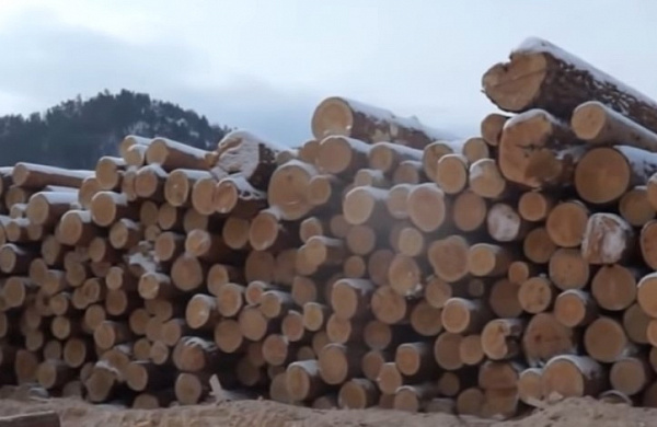 ������������� ����� �� ������� � ����� ��� �� 5 ��� ������  