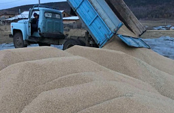 � ������� ������� ������-������ �� ������ �������� 