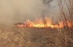 ��� ����� ���������� �������� ������� ����� 