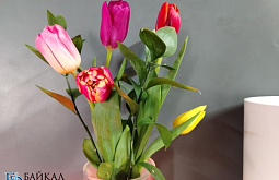 ‎����� � ������� ��������� ���� �� �� ������ �������� � ������