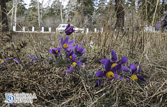 �� ��� ������� ������� ��������� �� +17�