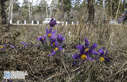 �� ��� ������� ������� ��������� �� +17�