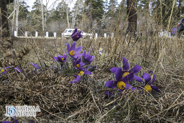 �� ��� ������� ������� ��������� �� +17�