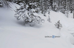 � ������� �� ����� �������� ����� ������ ������� ��� ����� ������ 