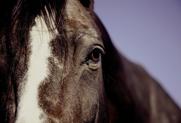 ������� �� ������� ��� � �� �������� ���������� ������� �������� 