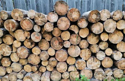 В Бурятии обязались обеспечить дровами семьи мобилизованных