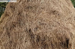 ��������� ������ �������� � ������� � ������� ������ 