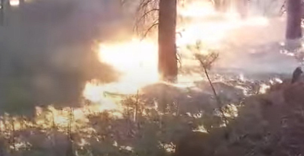 � ������� ������������ ������ ��-�� �������� ����� ����� 