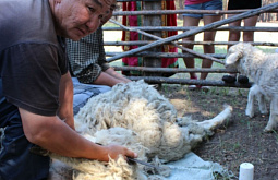 � ����-��� ��������� �������� ������� ���� (����)