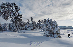 ������ ������ �� ������ � ������� ��������� � �������  