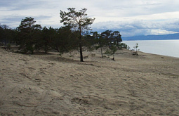 ��������� ����� ������� ��������� � �������� ��������