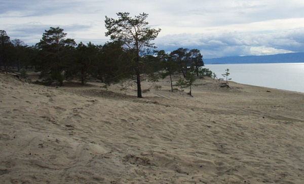 ��������� ����� ������� ��������� � �������� ��������