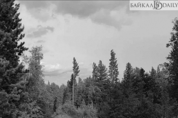 � ������� ������ ������� �������� �����