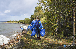 � ������� ������� ������ ���������