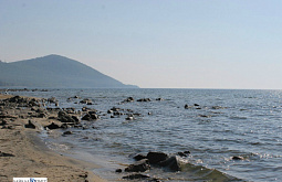 ��������� ������� ���� �������� � ������� �������� �� �������