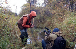 ������ ����� ���� ����� ��� ����������� ���������� 