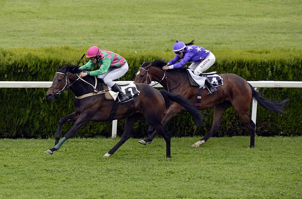 ������������� ���������� ��������� ����� �������� � ��������� ����